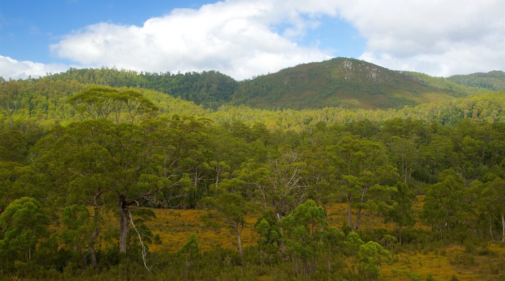 Parque Nacional Franklin-Gordon Wild Rivers que incluye vistas panorámicas y situaciones tranquilas