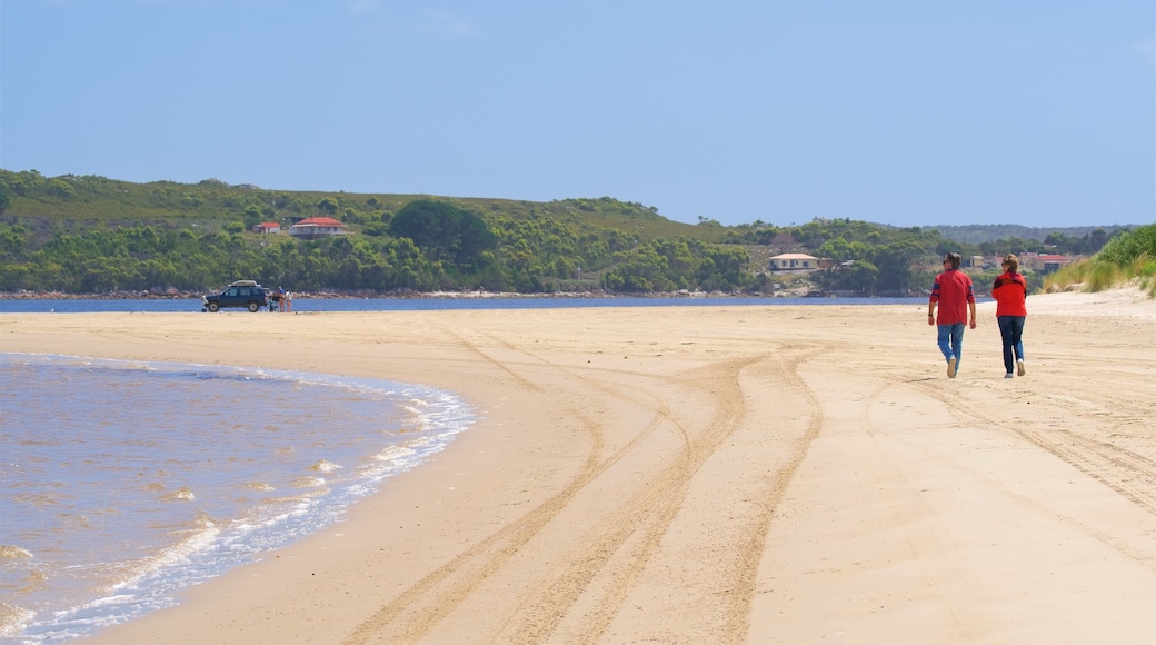 Costa occidentale della Tasmania caratteristiche di vista della costa e spiaggia sabbiosa cosi come coppia