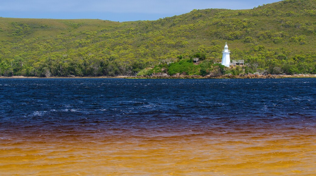 Costa occidentale della Tasmania che include vista della costa, paesaggi rilassanti e faro