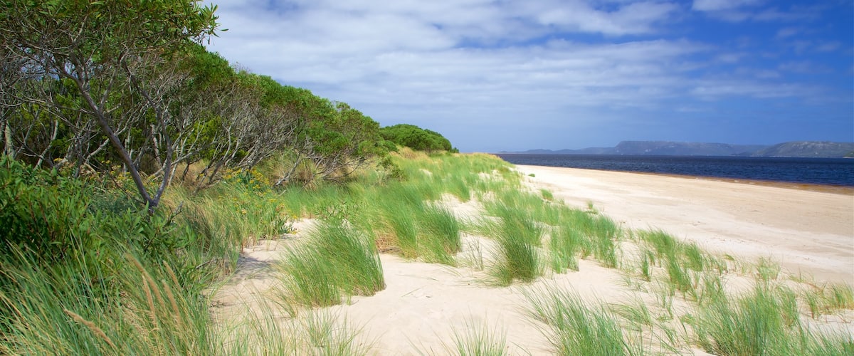West Coast Tasmania