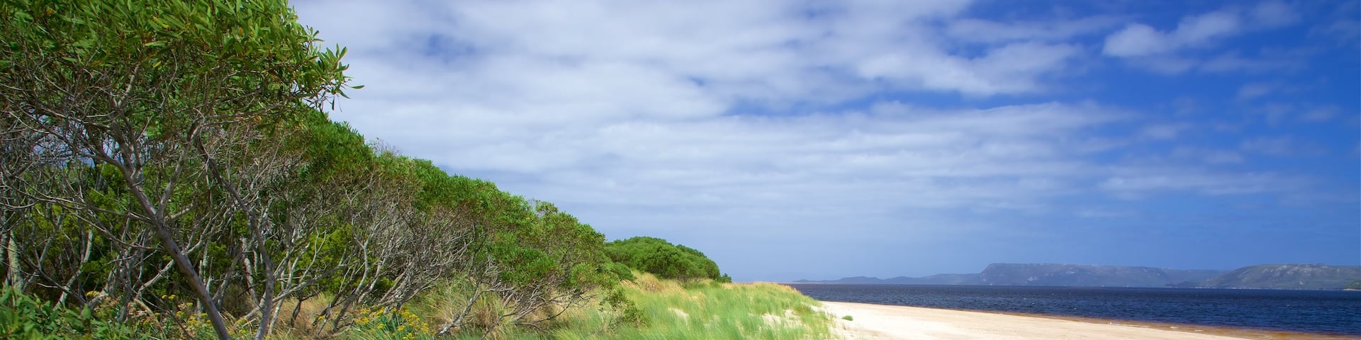 West Coast Tasmania