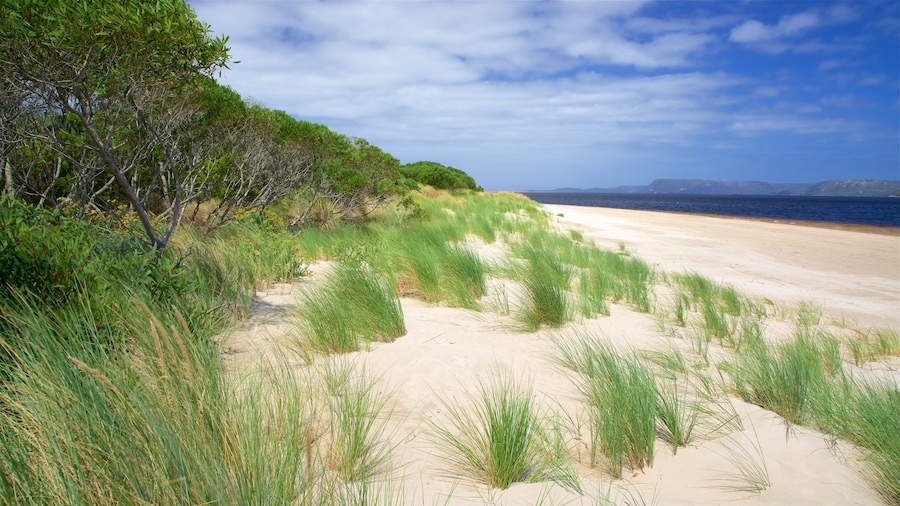 West Coast Tasmania
