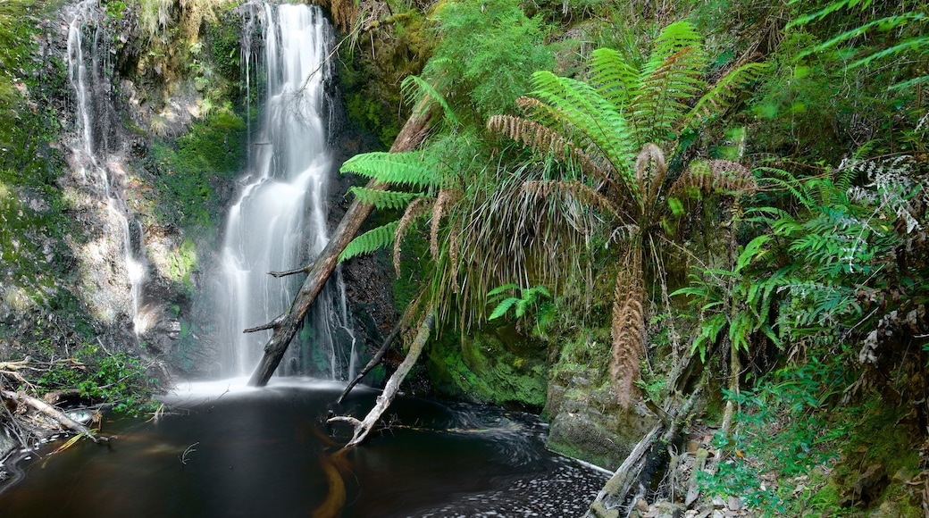 West Coast Tasmania