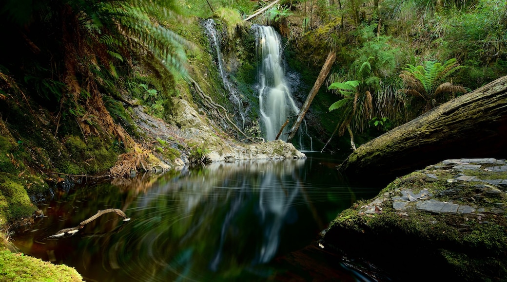 Strahan which includes a waterfall, a river or creek and forests