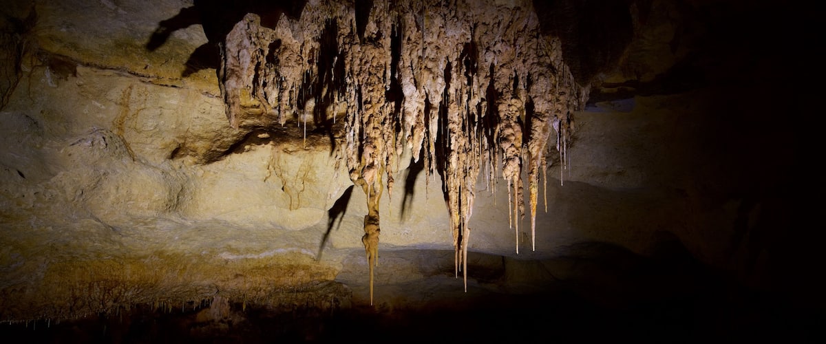 อุทยานแห่งชาติ Naracoorte Caves เนื้อเรื่องที่ ถ้ำ