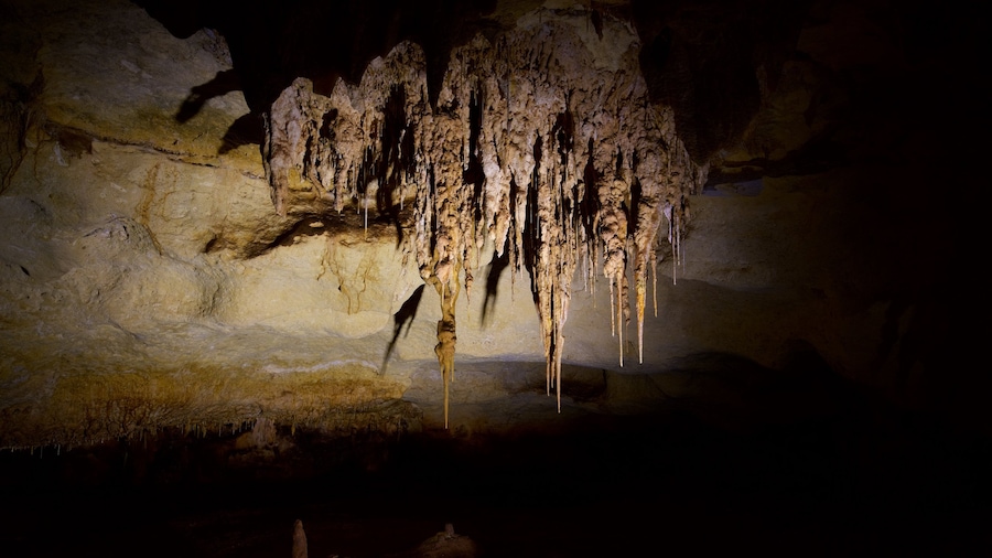 Naracoorte Caves National Park welches beinhaltet Höhlen