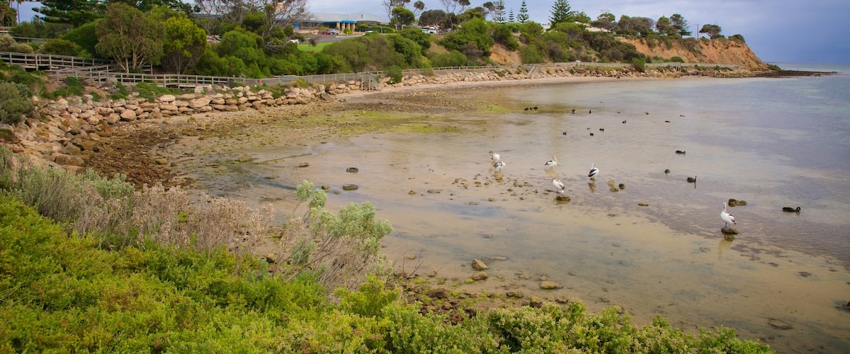 Kingscote