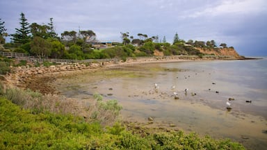 Kingscote qui includes vues littorales et côte rocheuse