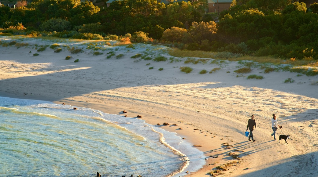 Penneshaw das einen allgemeine Küstenansicht, Sonnenuntergang und Strand