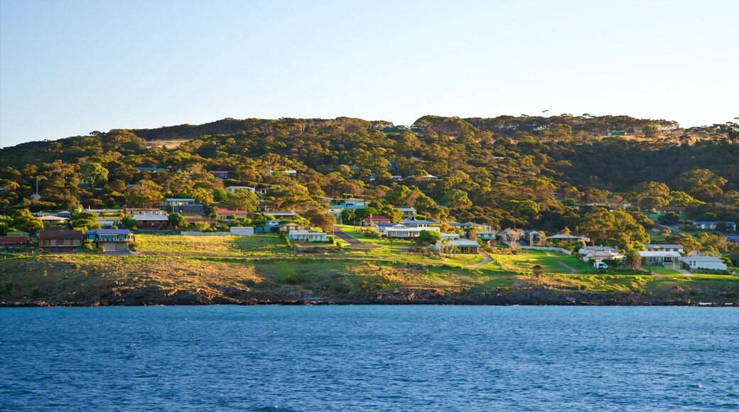 Penneshaw which includes tranquil scenes, general coastal views and a coastal town