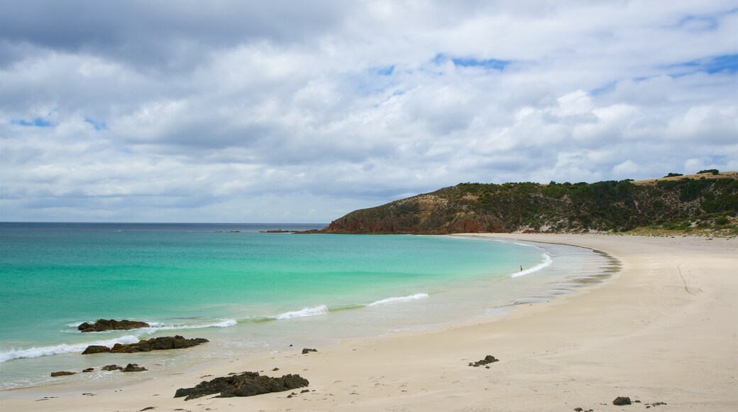 Snelling Beach mettant en vedette vues littorales et plage de sable