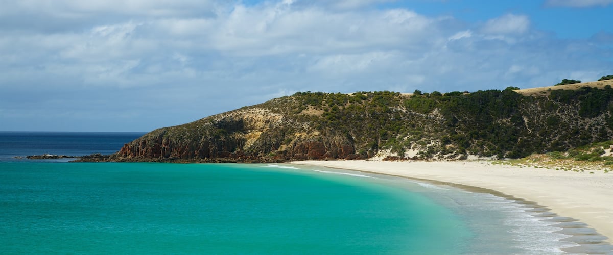 Snelling Beach showing general coastal views and a sandy beach