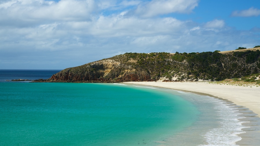 Snelling Beach