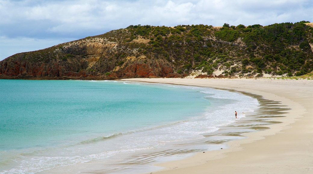 Snelling Beach mostrando vista della costa e spiaggia