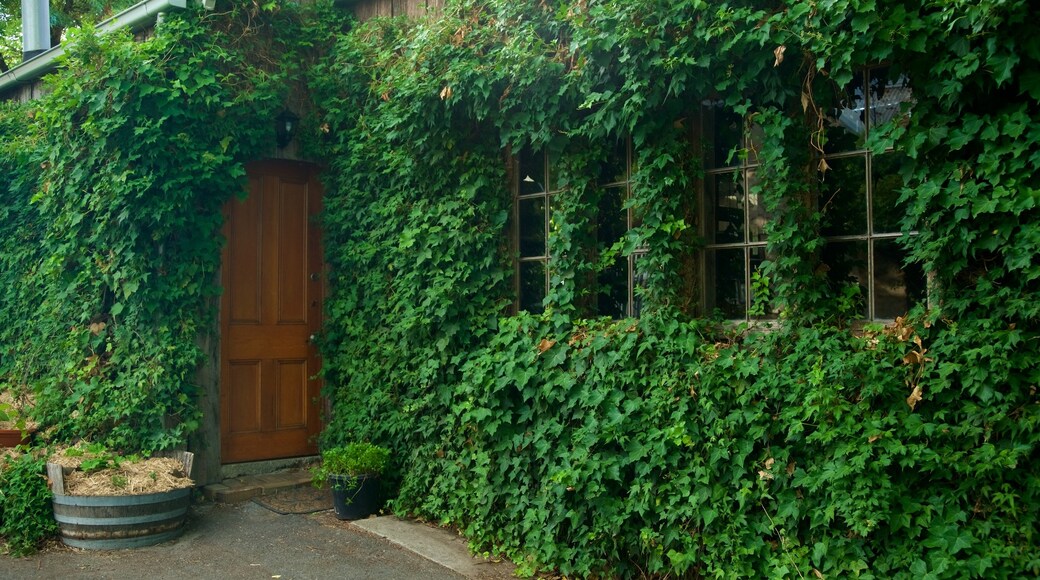 Hahndorf featuring a house
