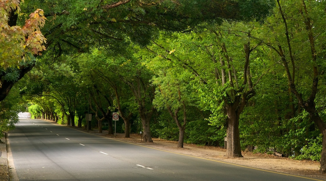 Hahndorf