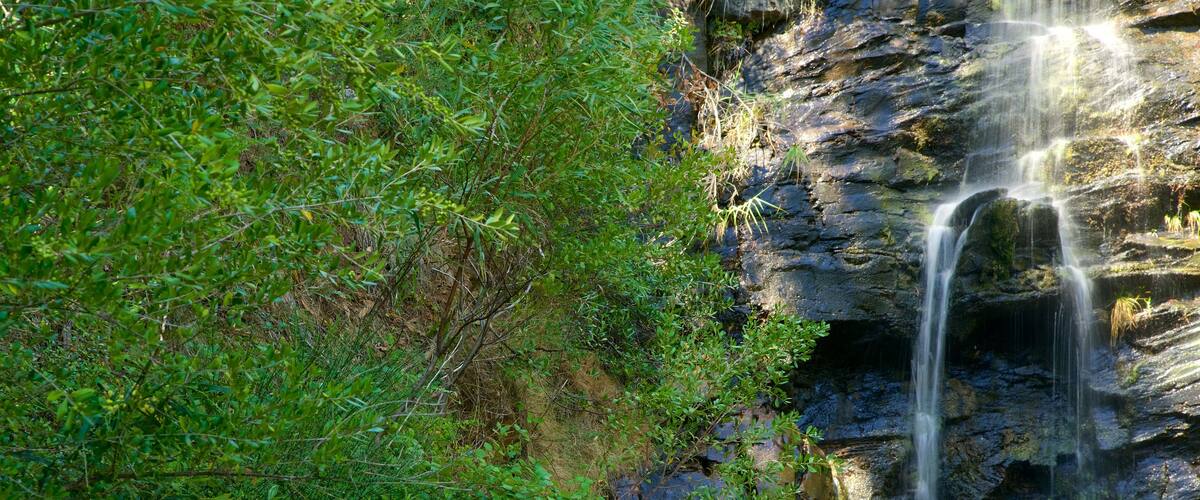 Waterfall Gully