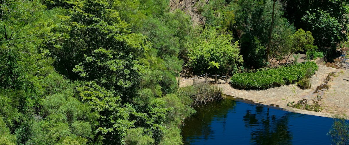 Waterfall Gully
