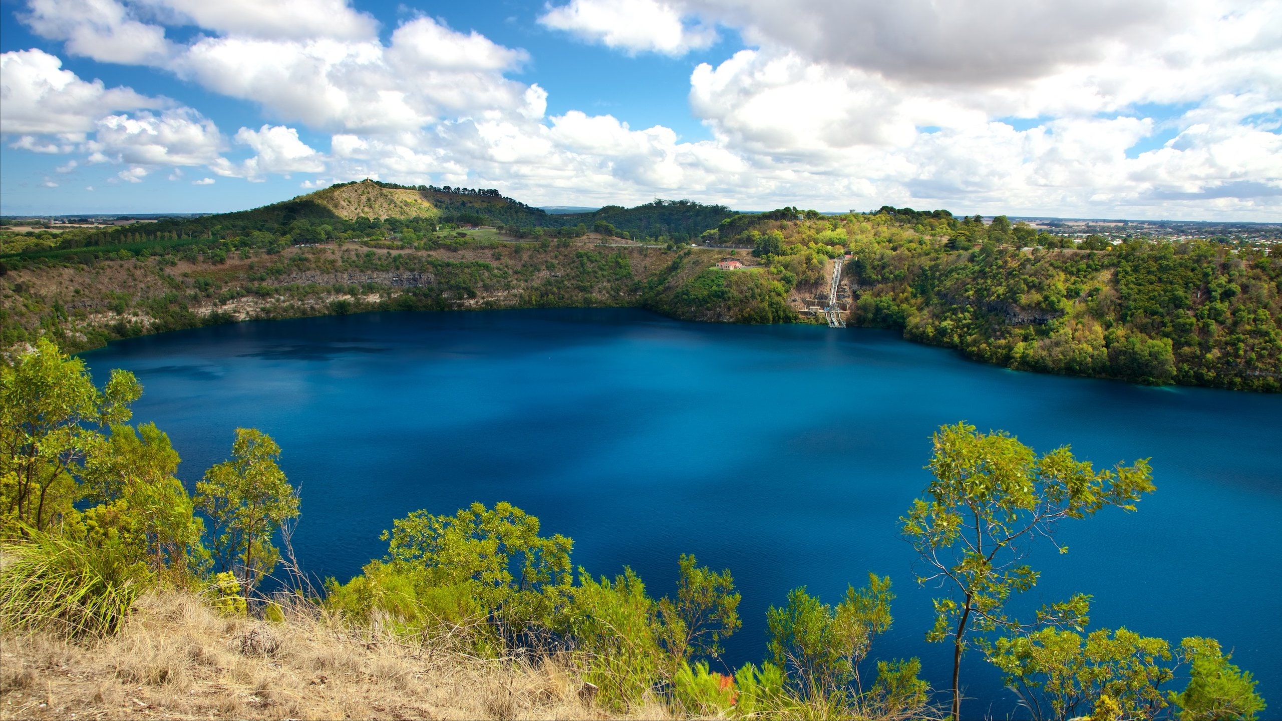 Blue Lake Reserve, Mount Gambier pet friendly holiday