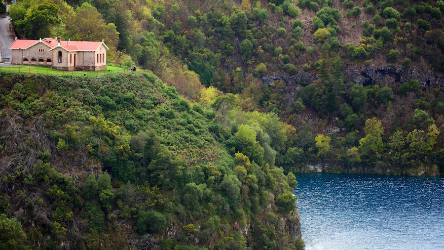 Blue Lake Reserve