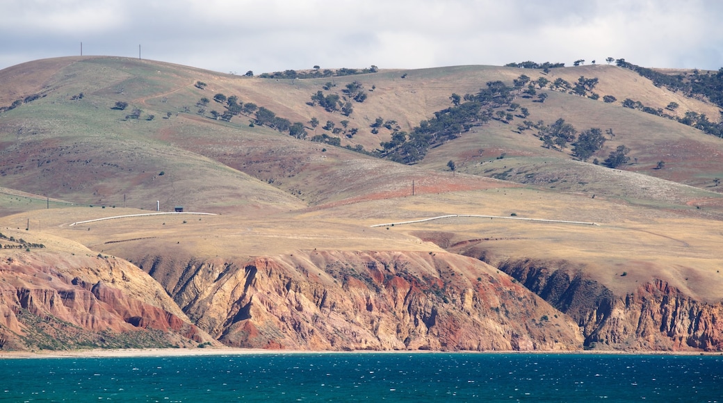 Aldinga Beach welches beinhaltet allgemeine Küstenansicht, ruhige Szenerie und Landschaften