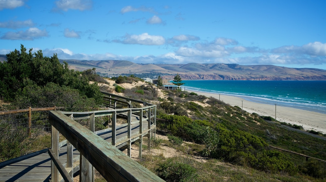 Aldinga Beach