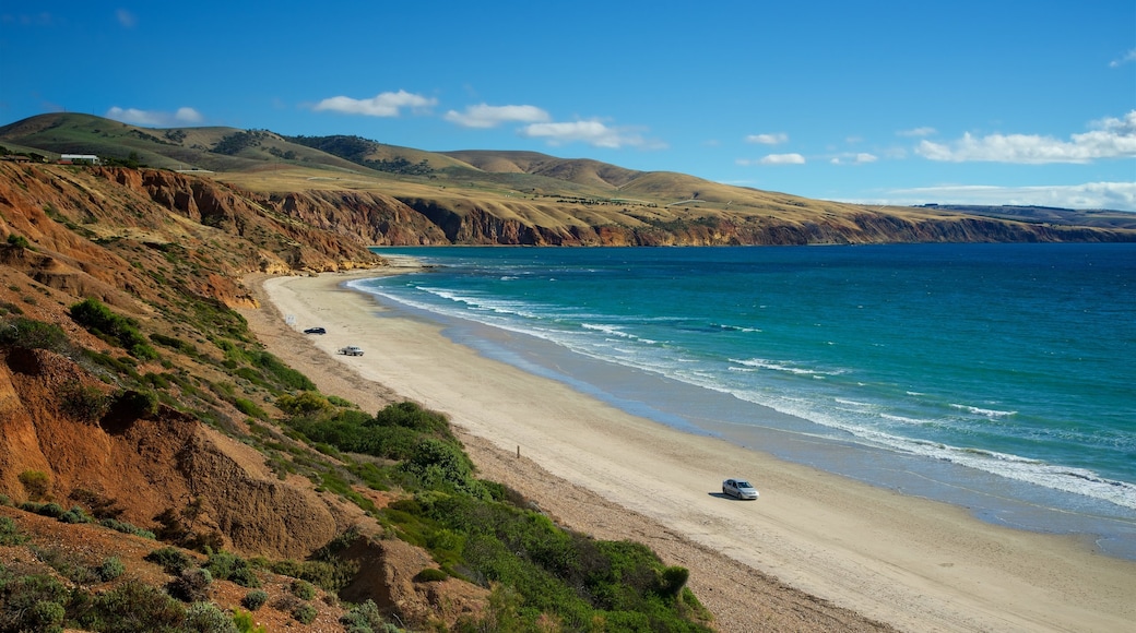 Södra Australien presenterar kustutsikter, en sandstrand och guidad tur