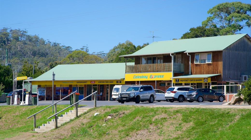 pennicott tours coles bay