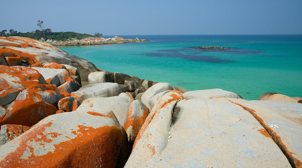 Bahía de los Fuegos