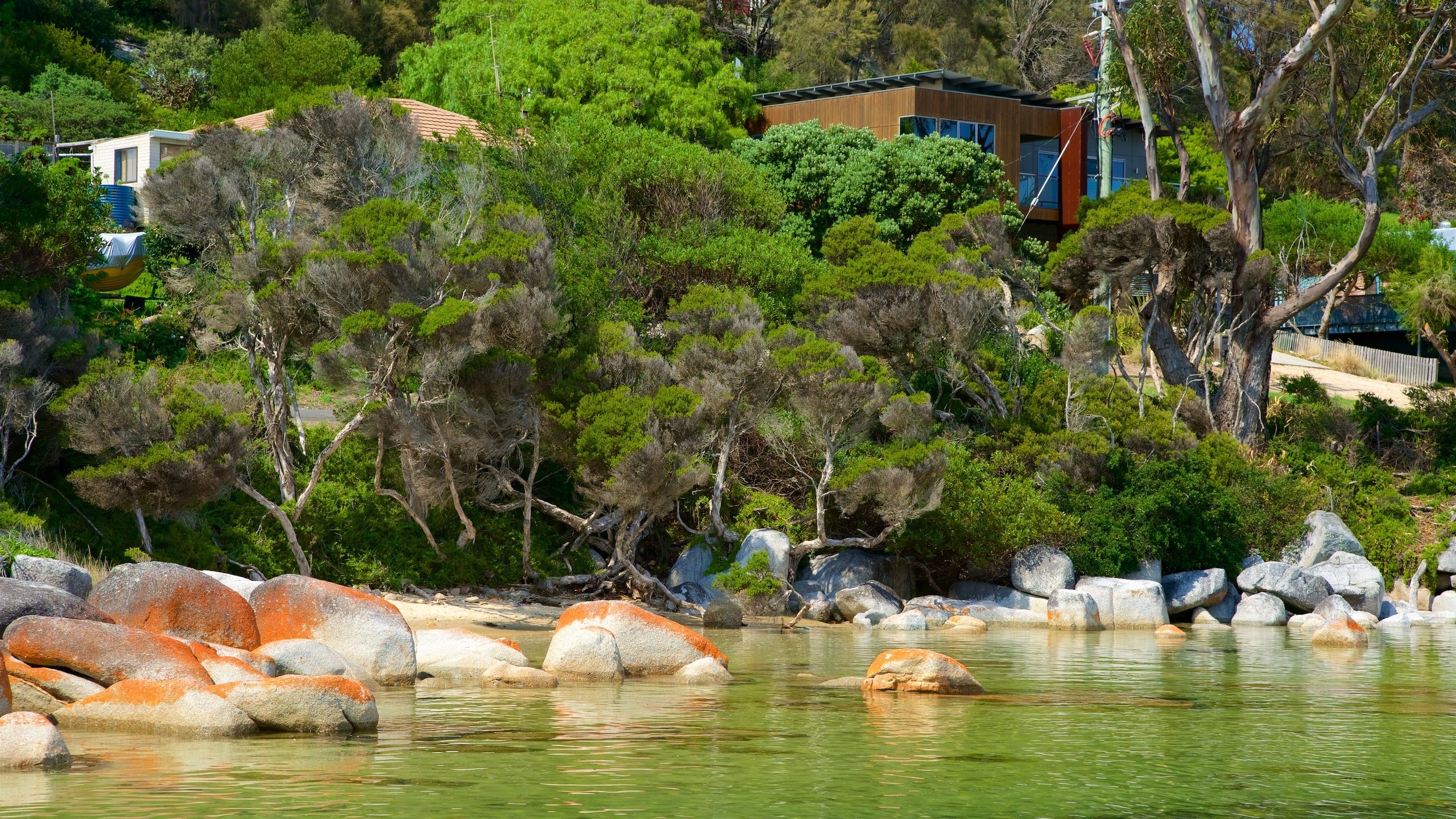 Things to Do in Binalong Bay in 2024 Expedia