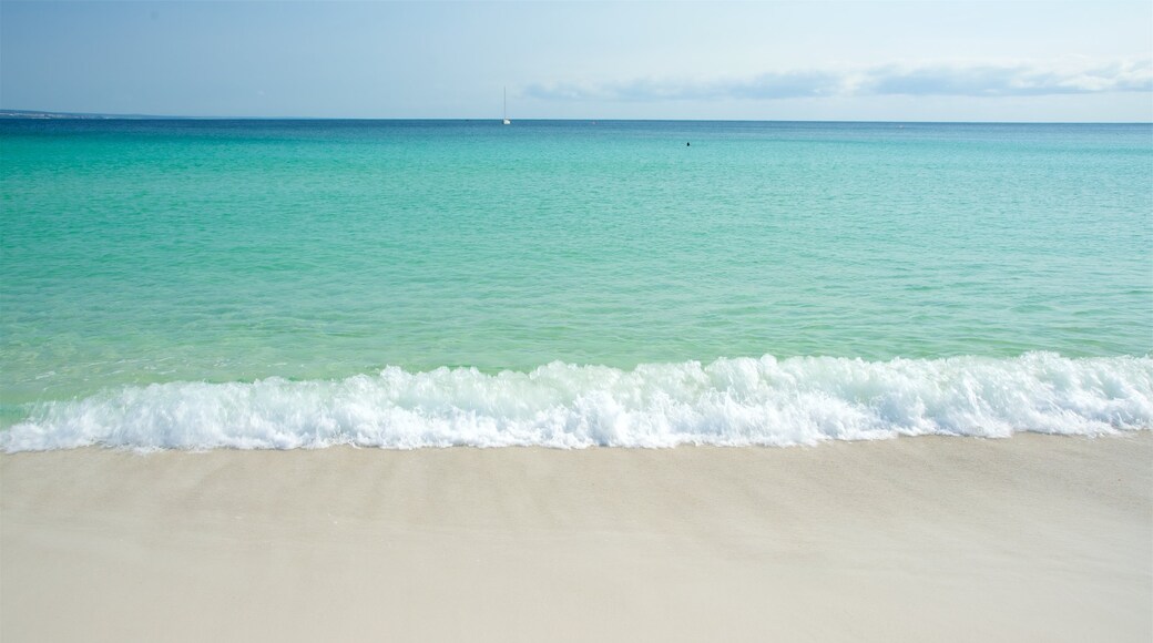 Binalong Bay which includes general coastal views and a sandy beach