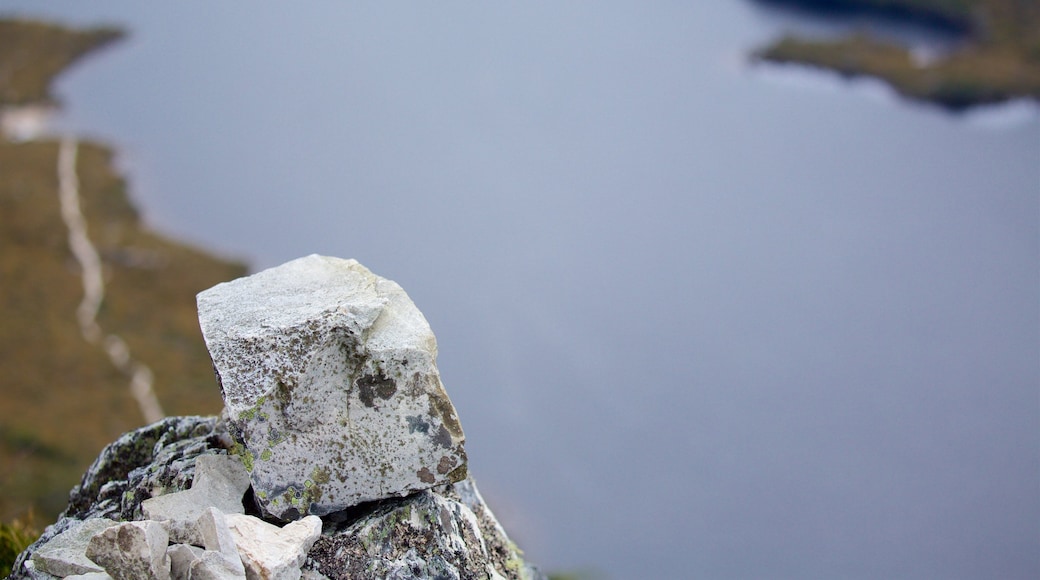 Cradle Mountain