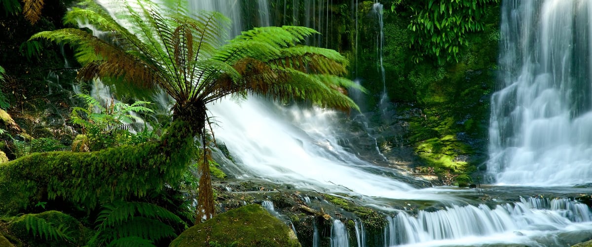 Mt. Field National Park que inclui uma cascata
