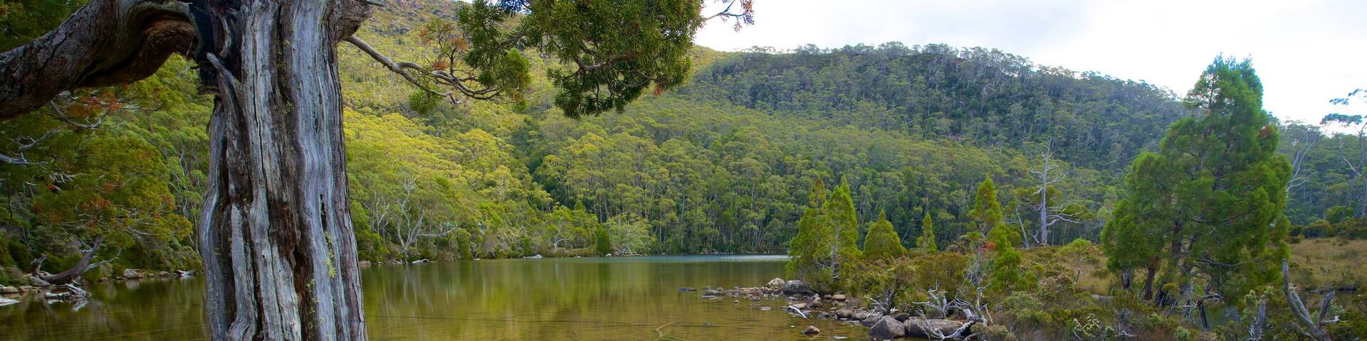Mt. Field National Park