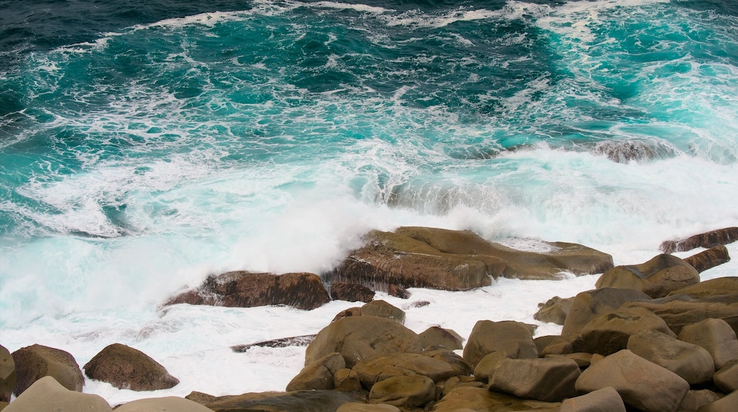 Flinders Chase National Park showing general coastal views and rocky coastline