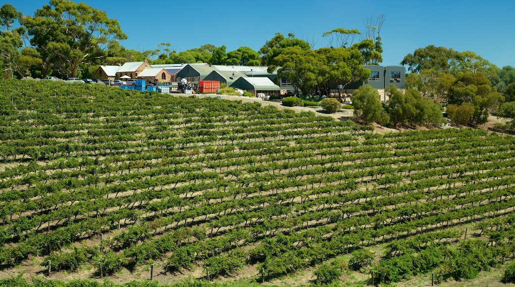 Chapel Hill Winery