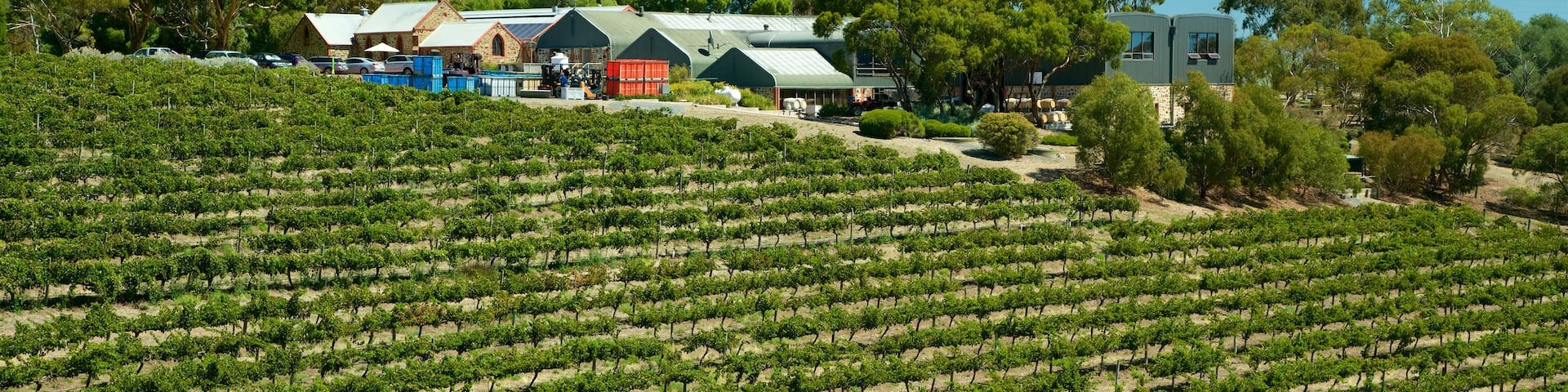 Chapel Hill Winery