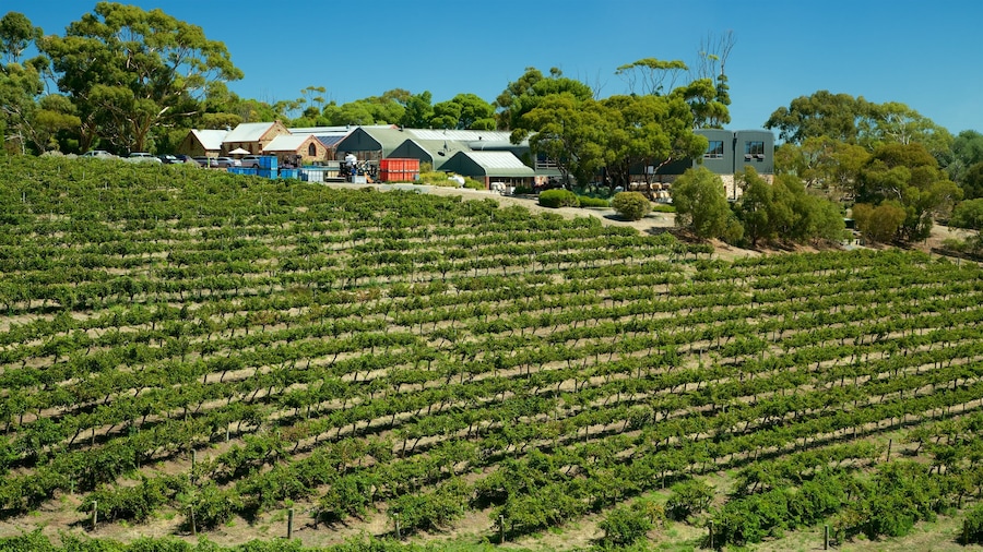 Chapel Hill Winery