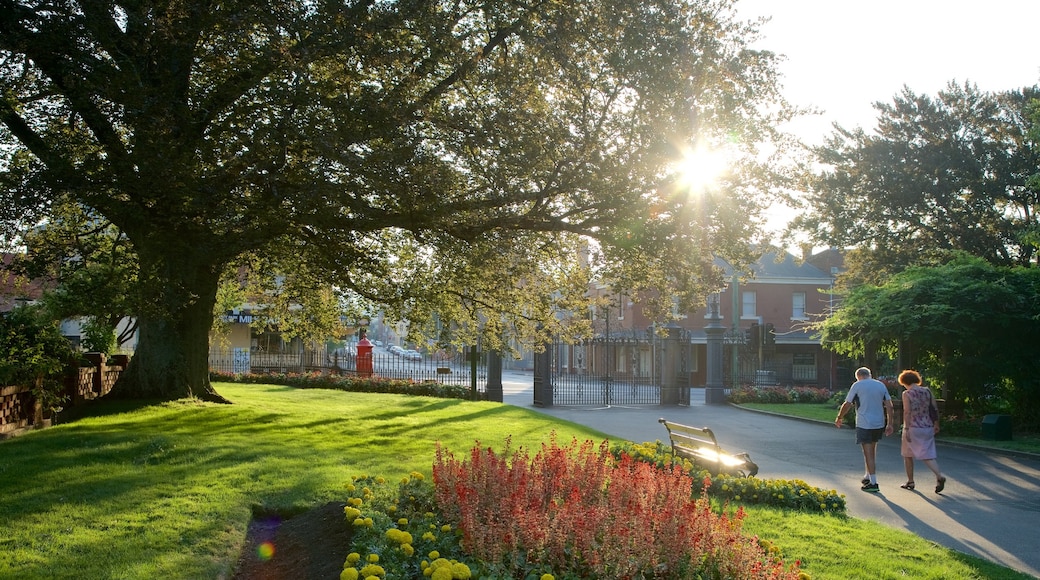 City Park