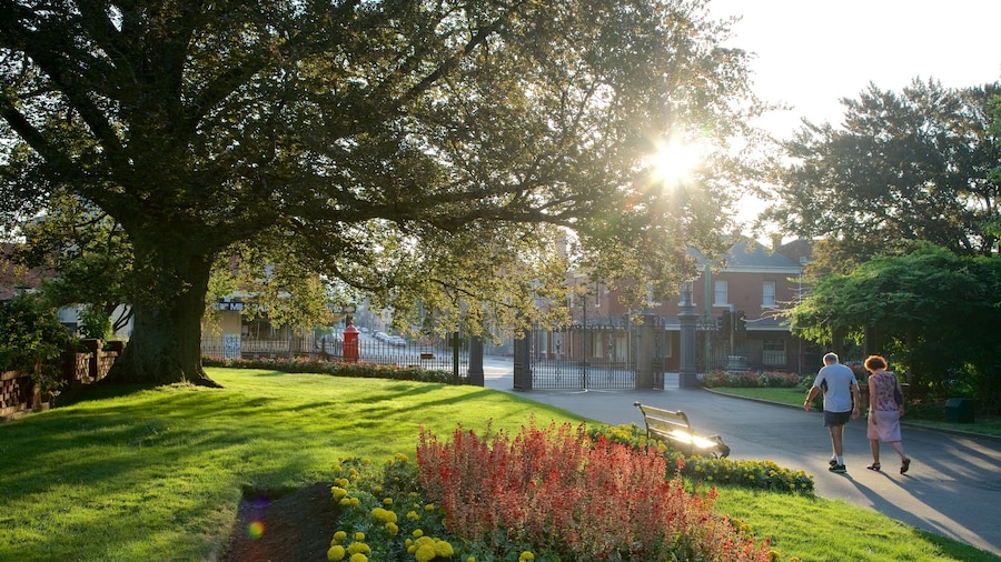 City Park inclusief een tuin en ook een stel