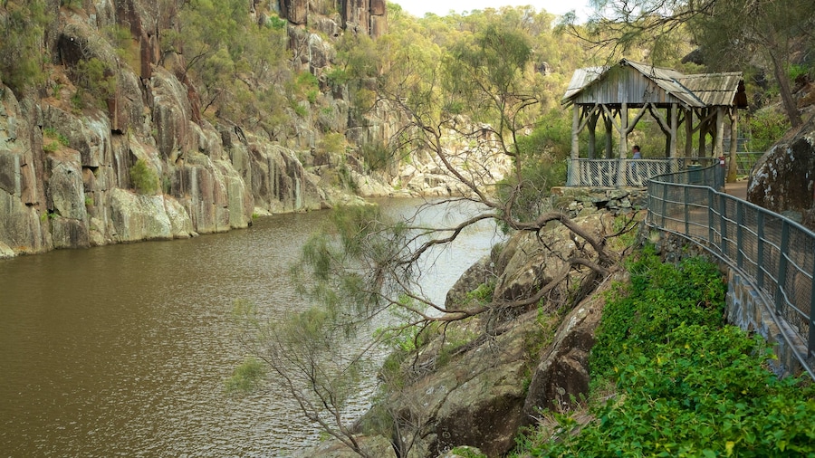 Ngarai Cataract