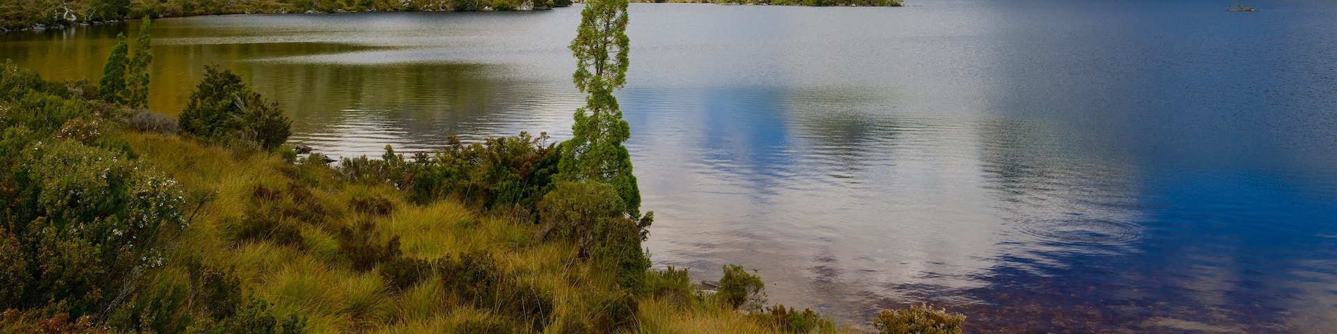 Dove Lake