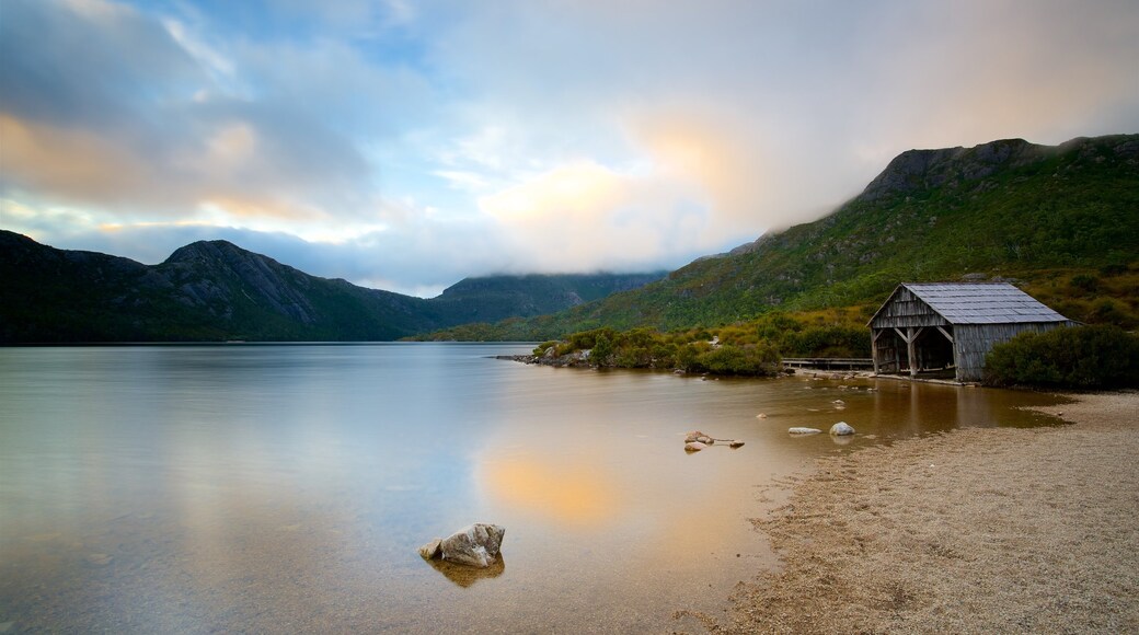 Dove Lake presenterar stillsam natur, en sjö eller ett vattenhål och en strand