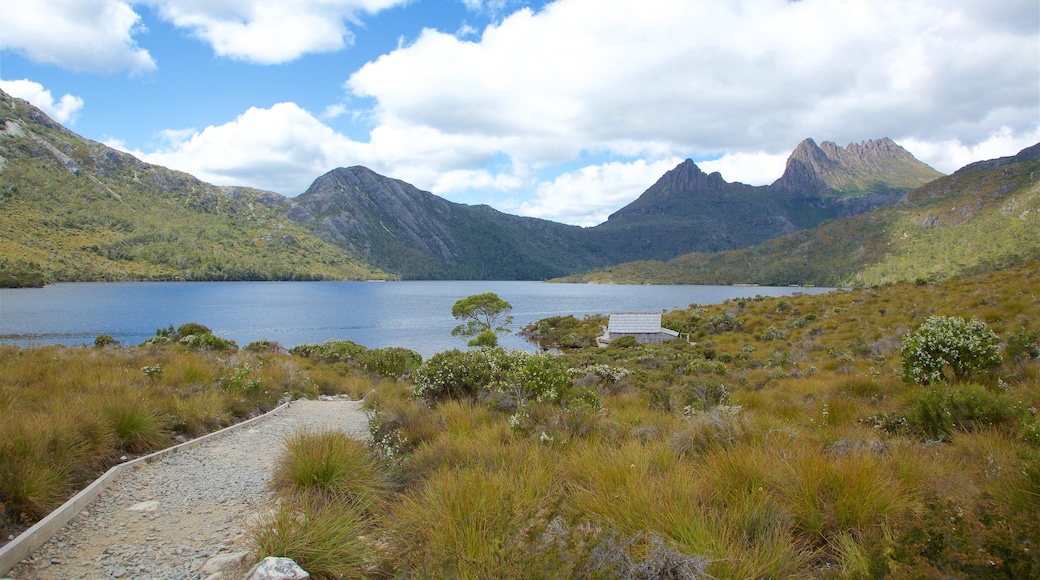 Dove Lake which includes a lake or waterhole and tranquil scenes