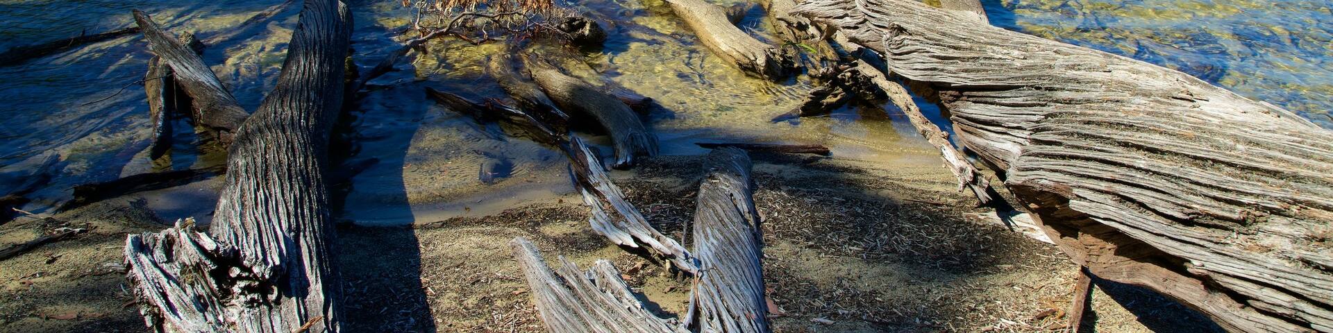 Lake St Clair National Park