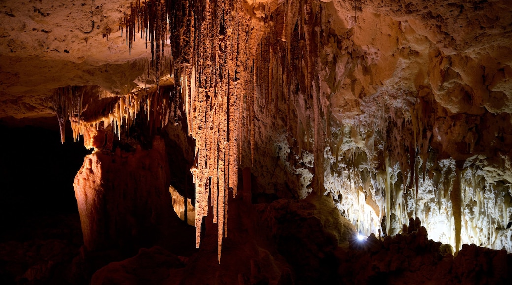 Kelly Hill Conservation Park que inclui cavernas