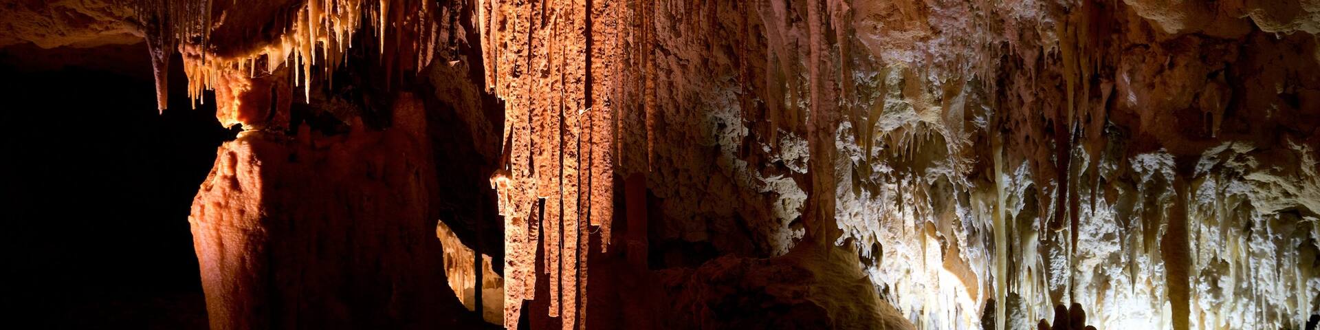 Kelly Hill Conservation Park mettant en vedette grottes