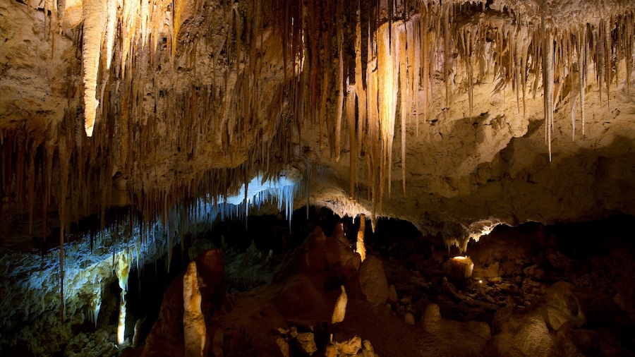Khu bảo tồn Kelly Hill