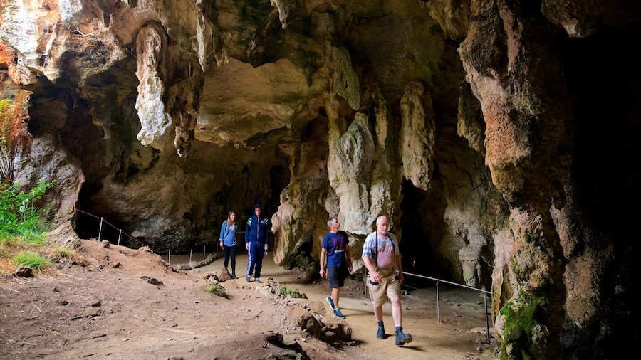 Naracoorte Caves National Park which includes hiking or walking and caves as well as a small group of people