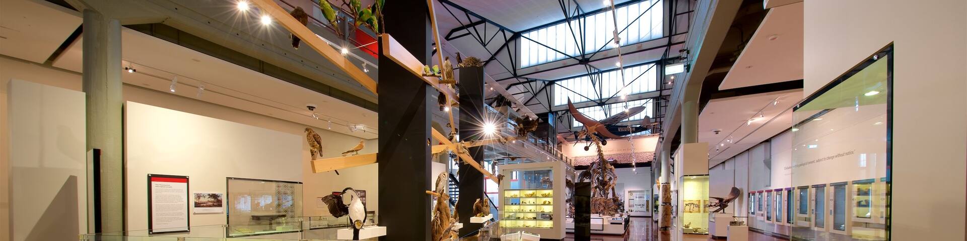 Queen Victoria Museum